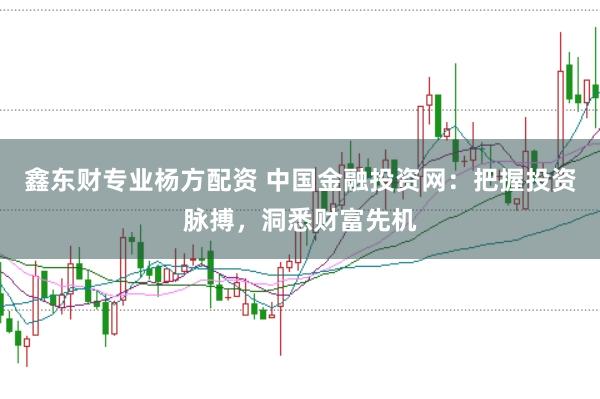 鑫东财专业杨方配资 中国金融投资网：把握投资脉搏，洞悉财富先机