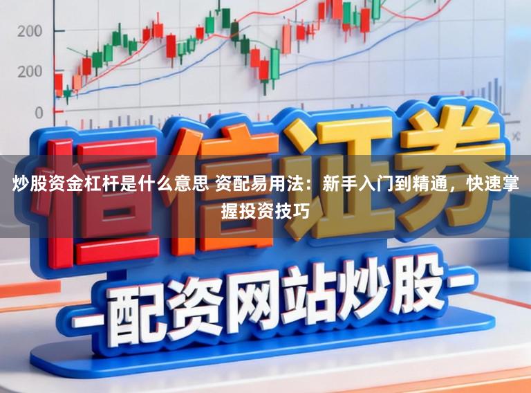 炒股资金杠杆是什么意思 资配易用法：新手入门到精通，快速掌握投资技巧