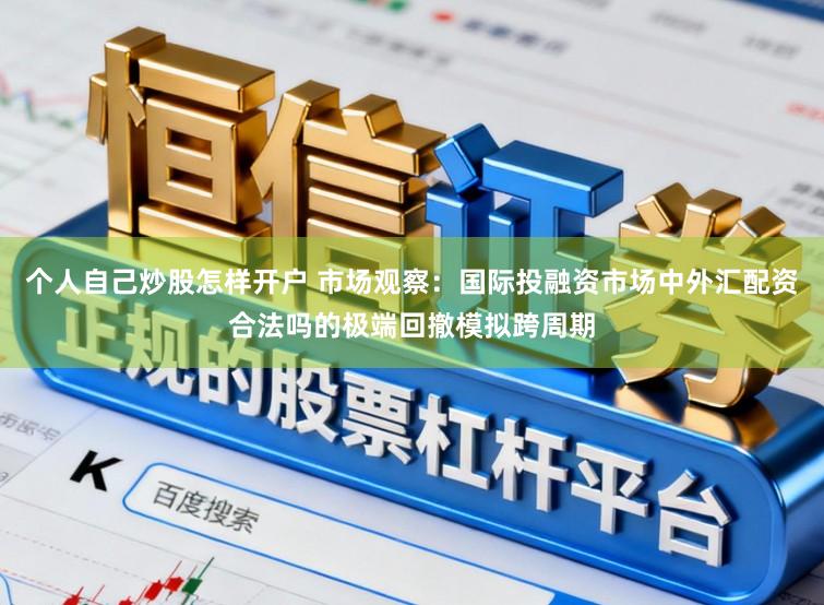 个人自己炒股怎样开户 市场观察：国际投融资市场中外汇配资合法吗的极端回撤模拟跨周期